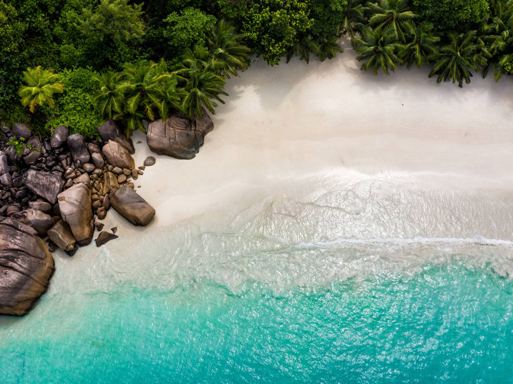 Praslin, Seychelles: riserve, spiagge e palme uniche al mondo