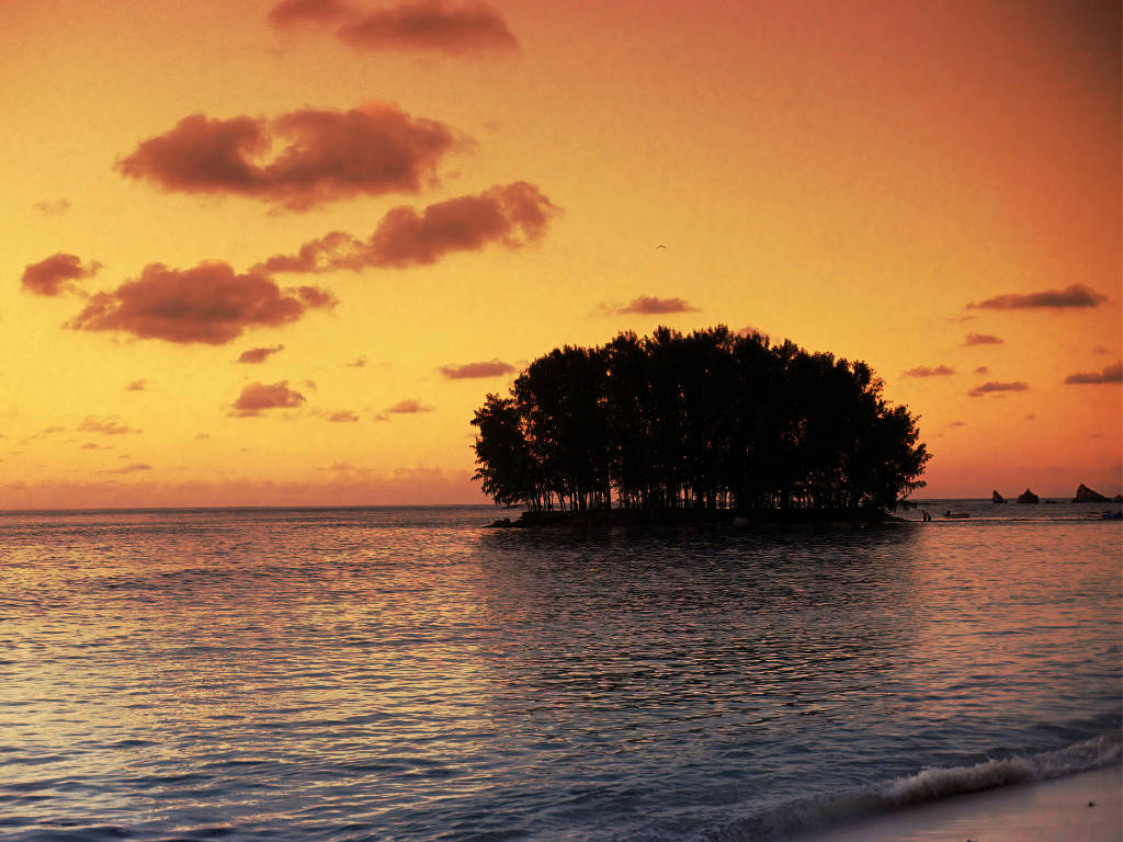 Praslin, il Paradiso delle Seychelles: Tra Spiagge da Sogno e la Foresta di Vallée de Mai